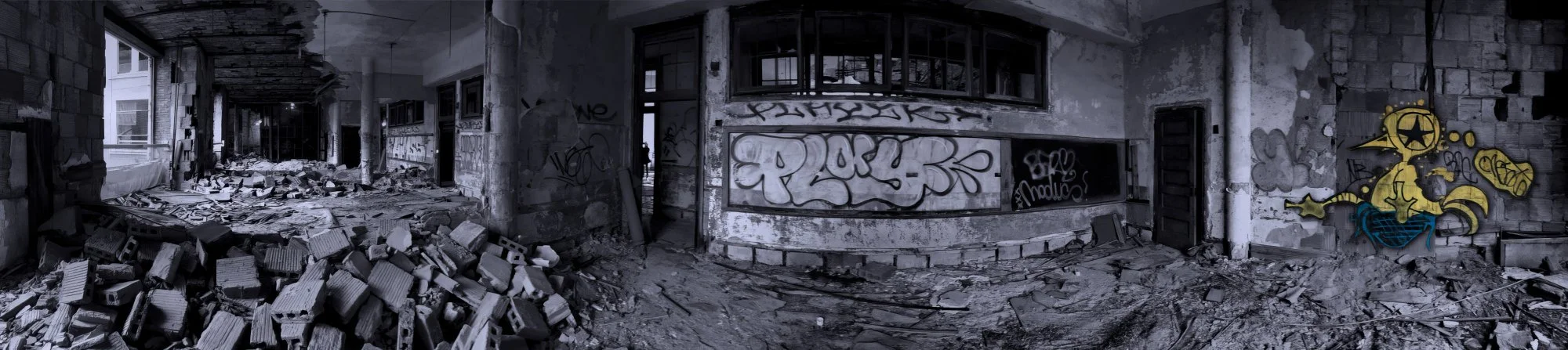 141203.A.08.N.02 - Bird Graffiti and Interior Demolition