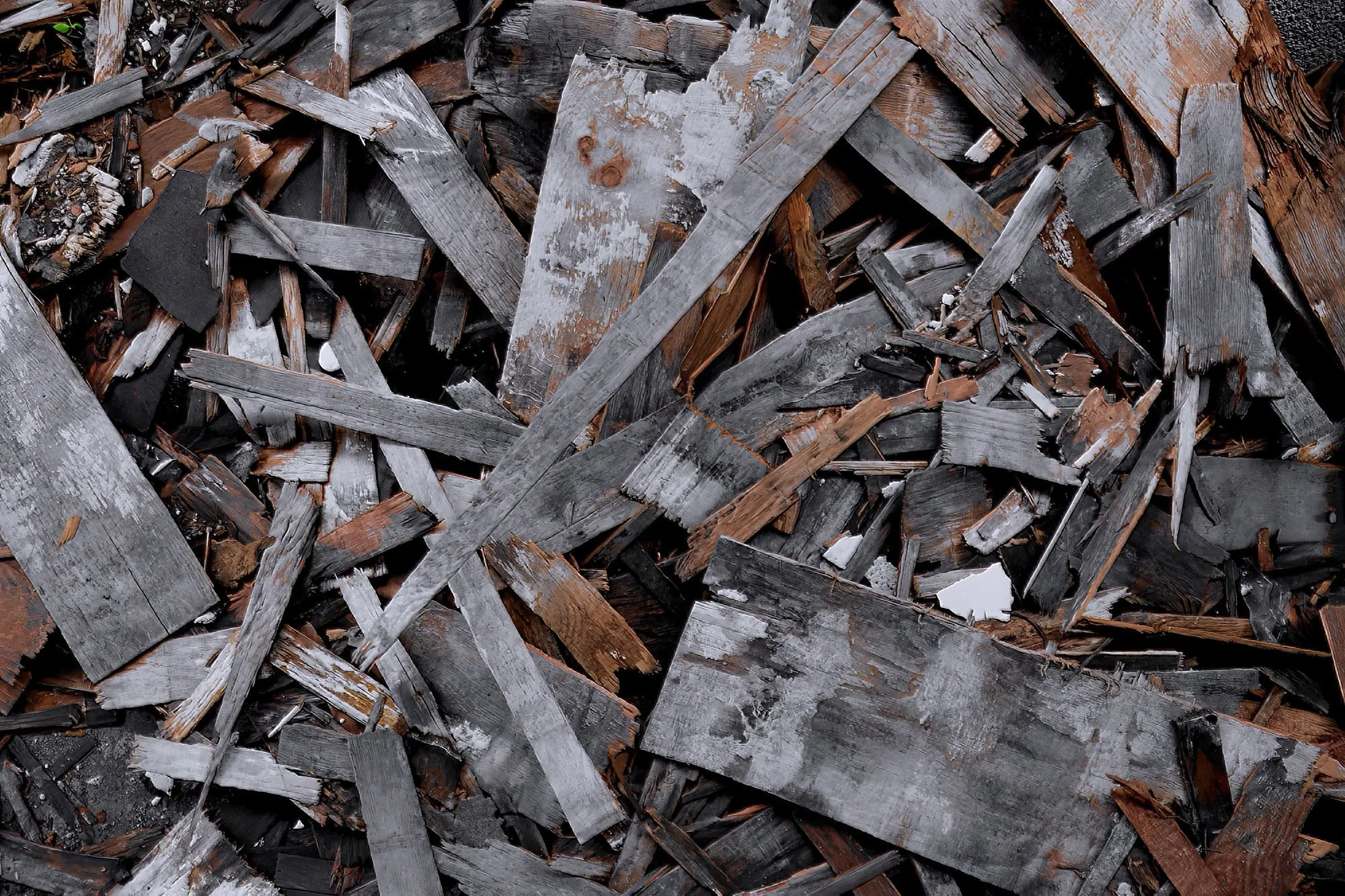 230713.A.05.N.01 - Old Demolished Wood and Green Sprout