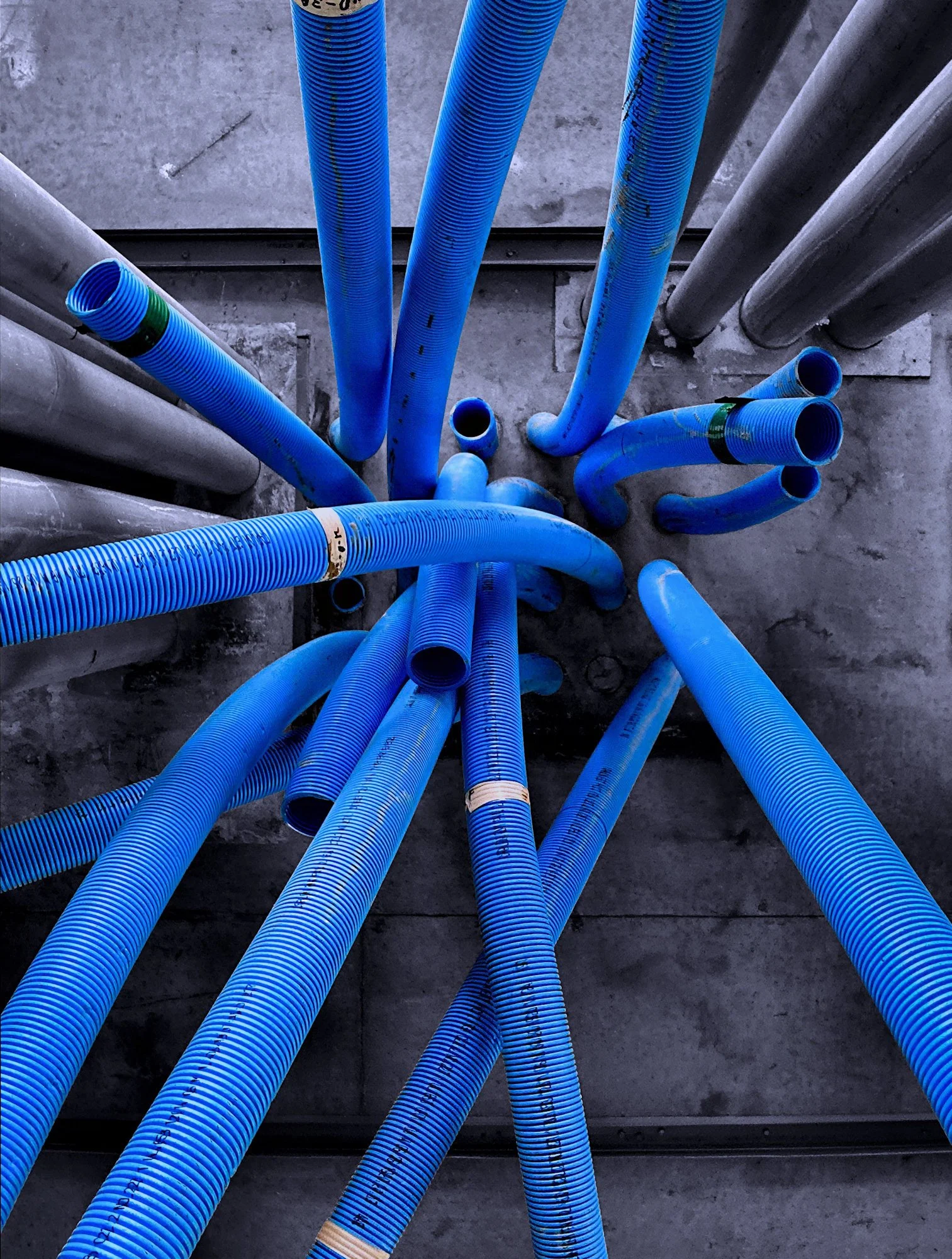 200504.A.02.N.01 - Looking Up at Microduct