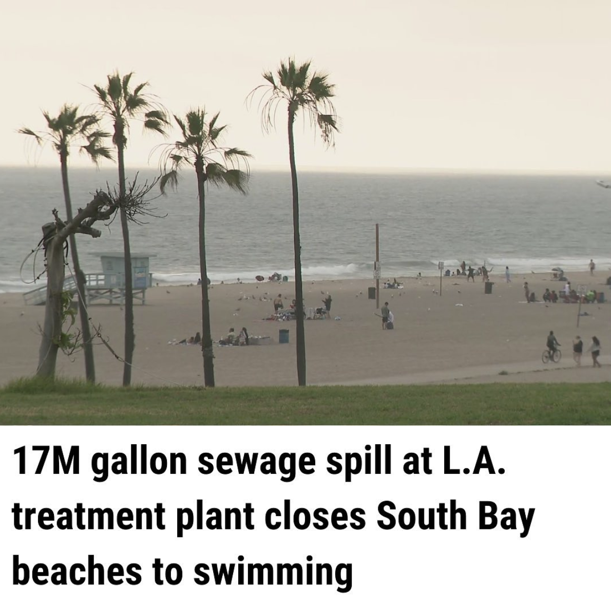 Screen Shot 2021-07-15 at 2.23.39 AM.png