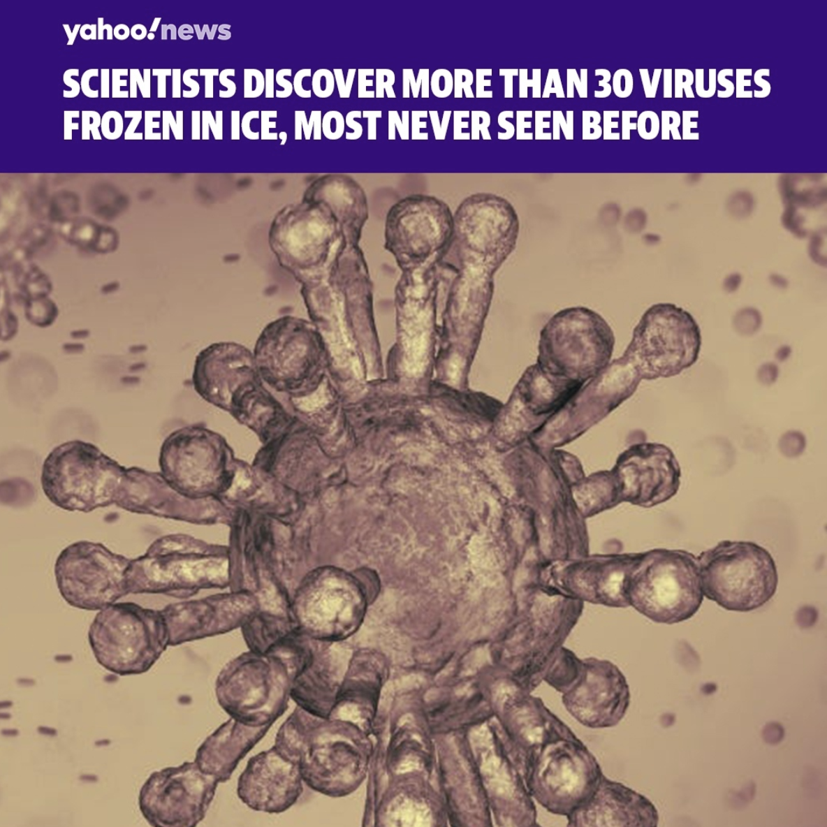 Screen Shot 2021-07-25 at 12.34.15 PM.png