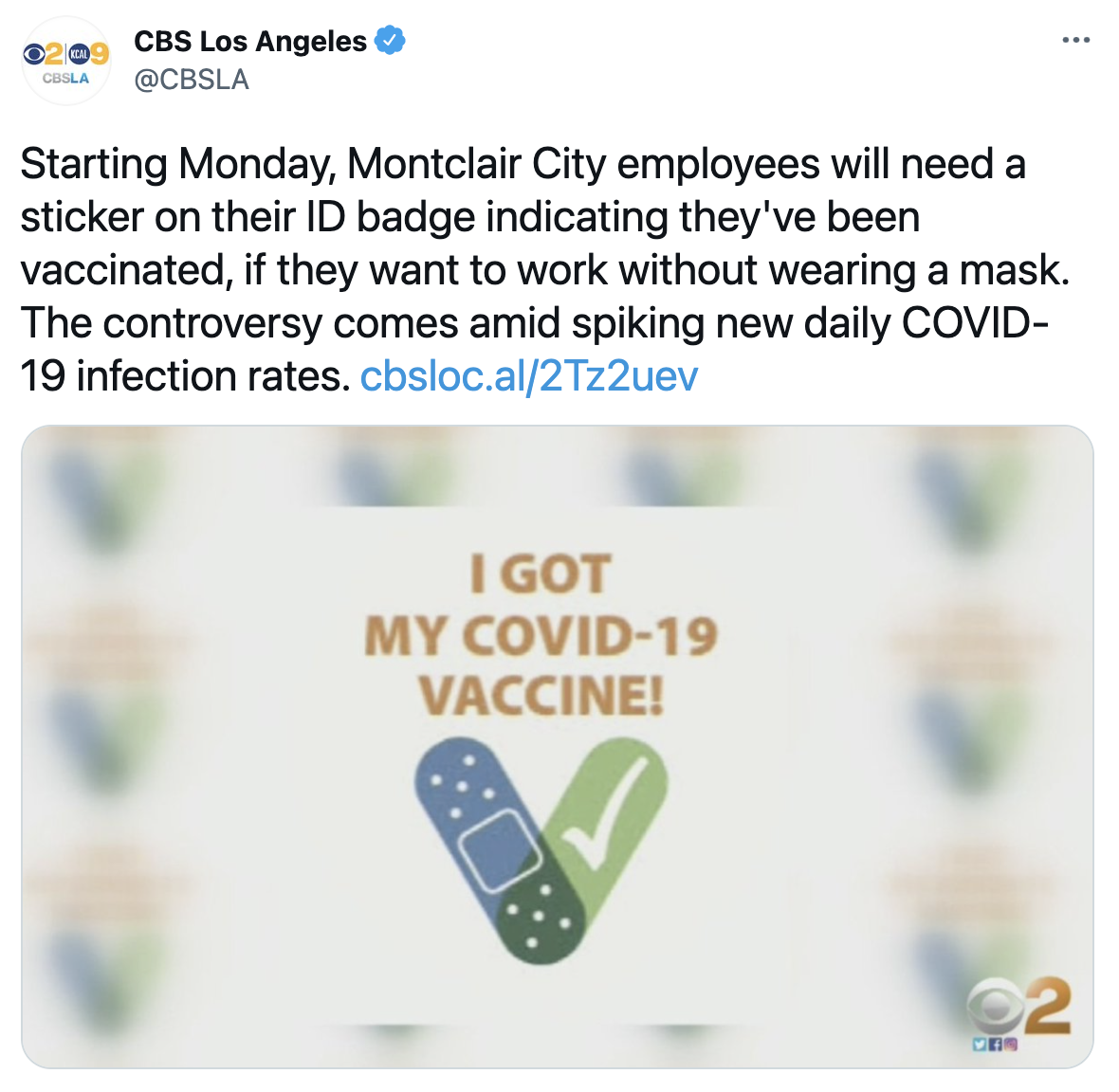 Screen Shot 2021-07-26 at 2.28.56 PM.png