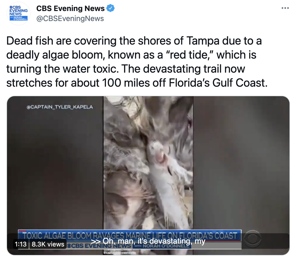 Screen Shot 2021-07-26 at 9.39.22 PM.png