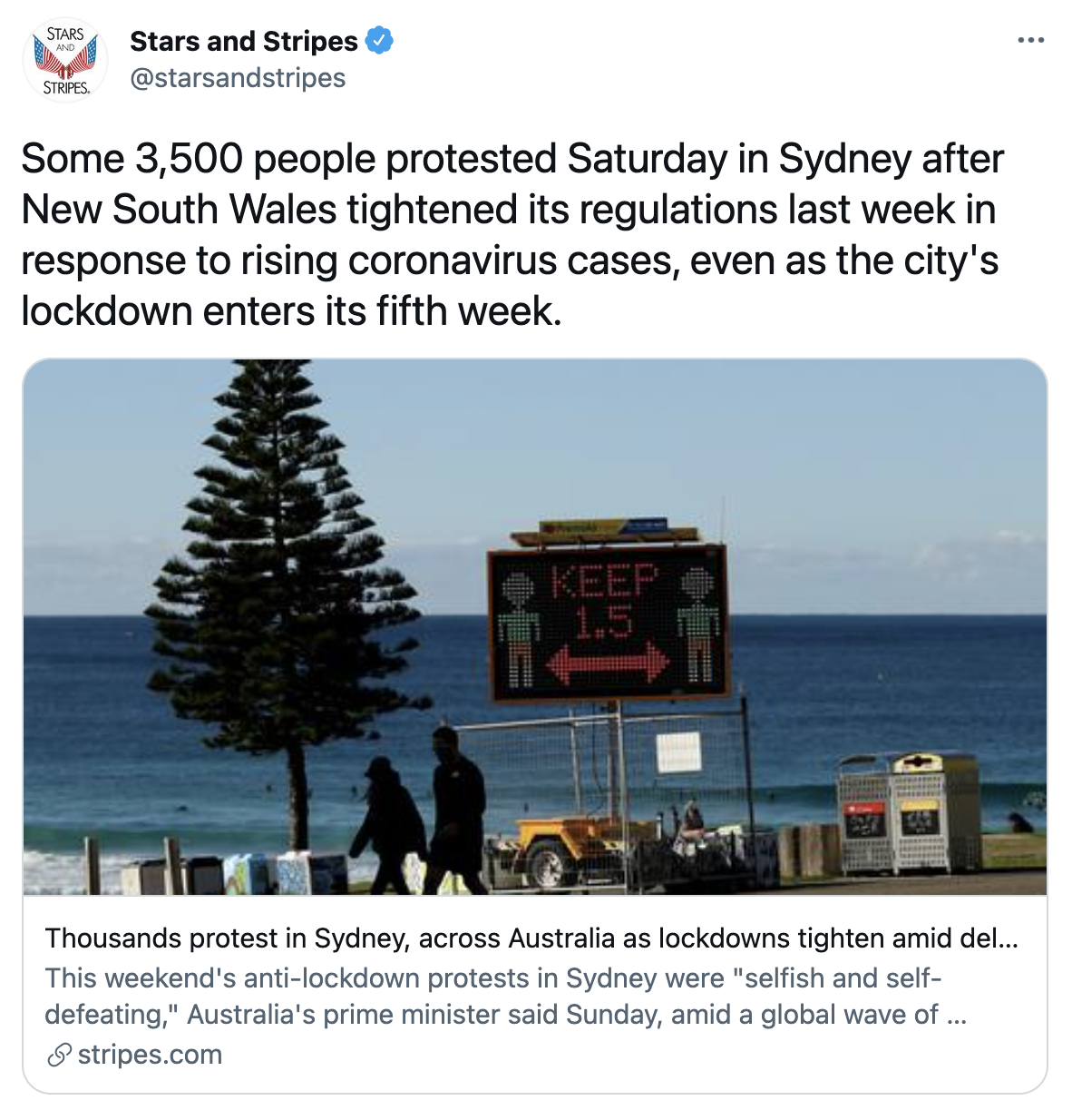 Screen Shot 2021-07-26 at 9.54.30 PM.png