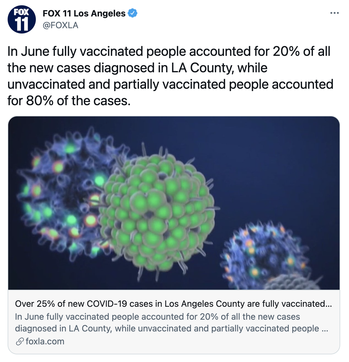 Screen Shot 2021-07-29 at 2.00.58 AM.png