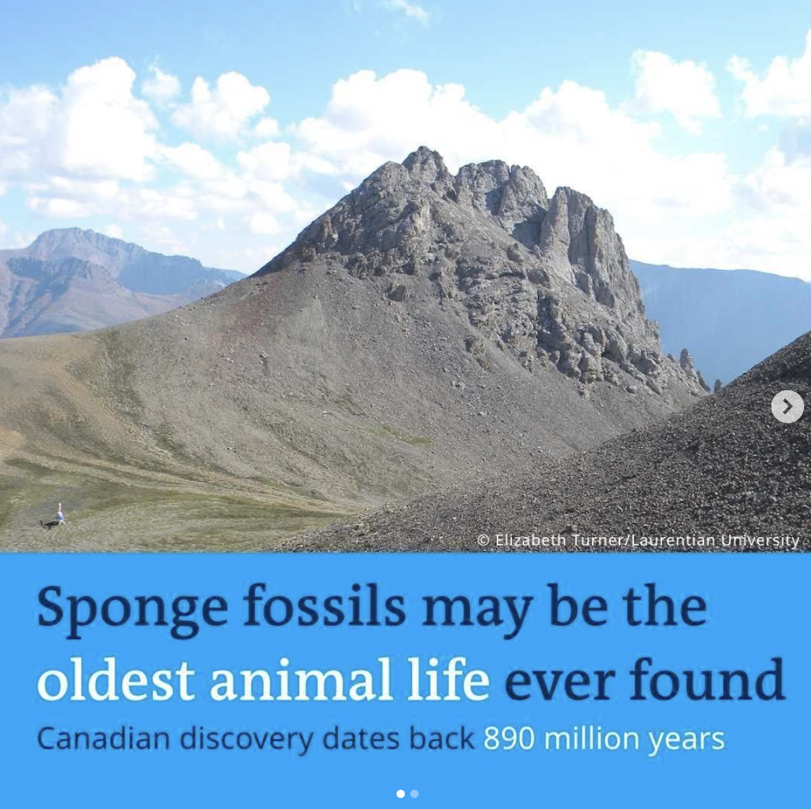 Screen Shot 2021-07-30 at 2.25.24 AM.png