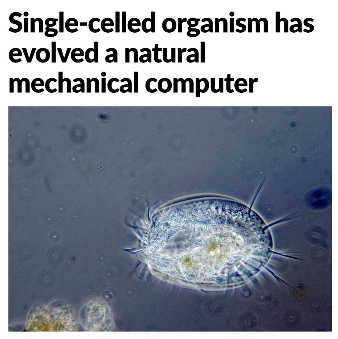 Screen Shot 2021-07-30 at 9.09.15 PM.png