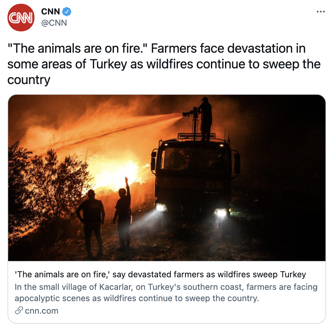 Screen Shot 2021-07-31 at 7.04.52 PM.png