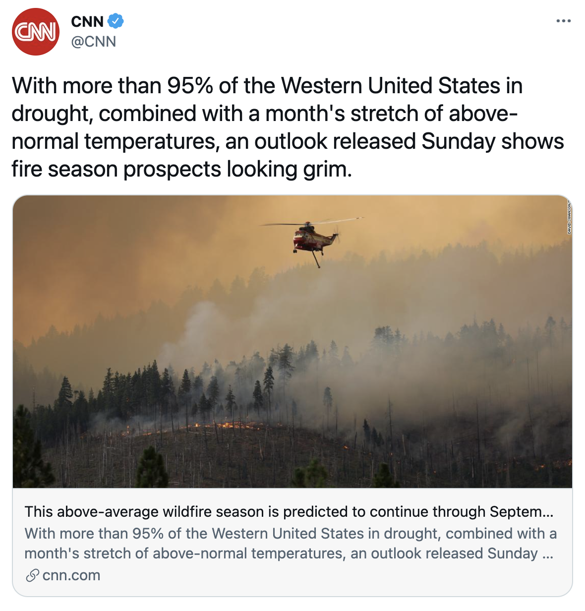 Screen Shot 2021-08-02 at 4.25.12 PM.png