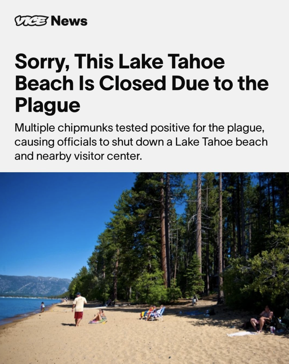 Screen Shot 2021-08-03 at 2.55.31 PM.png