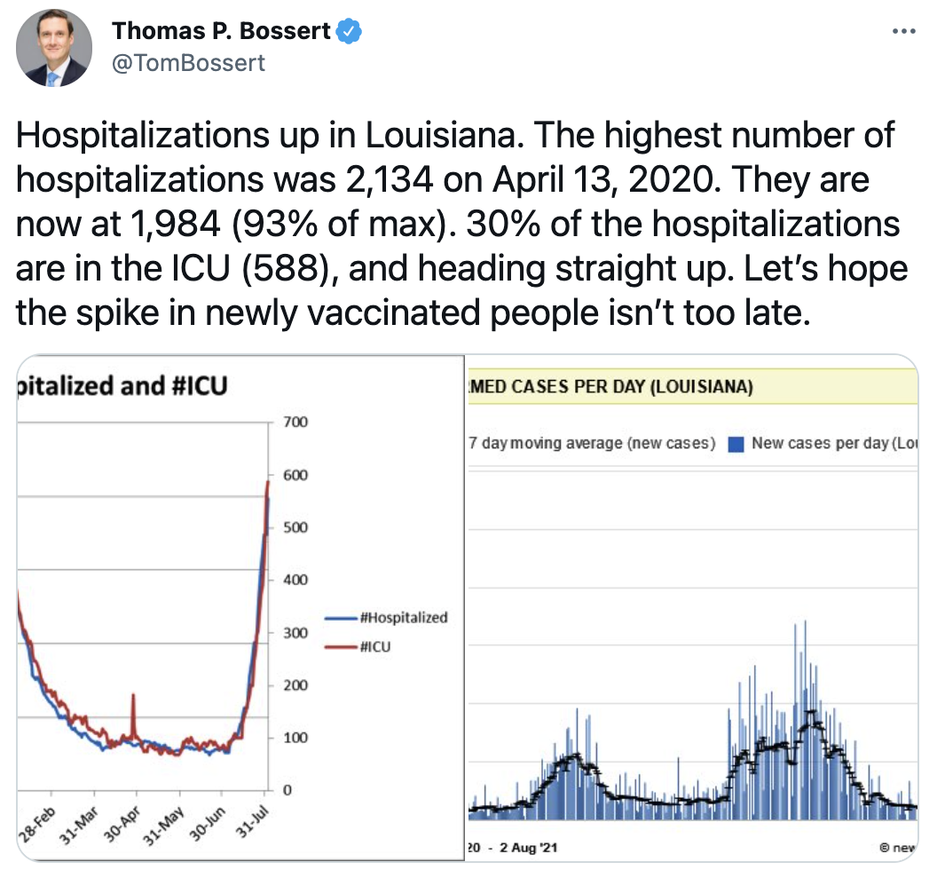 Screen Shot 2021-08-03 at 3.21.26 PM.png