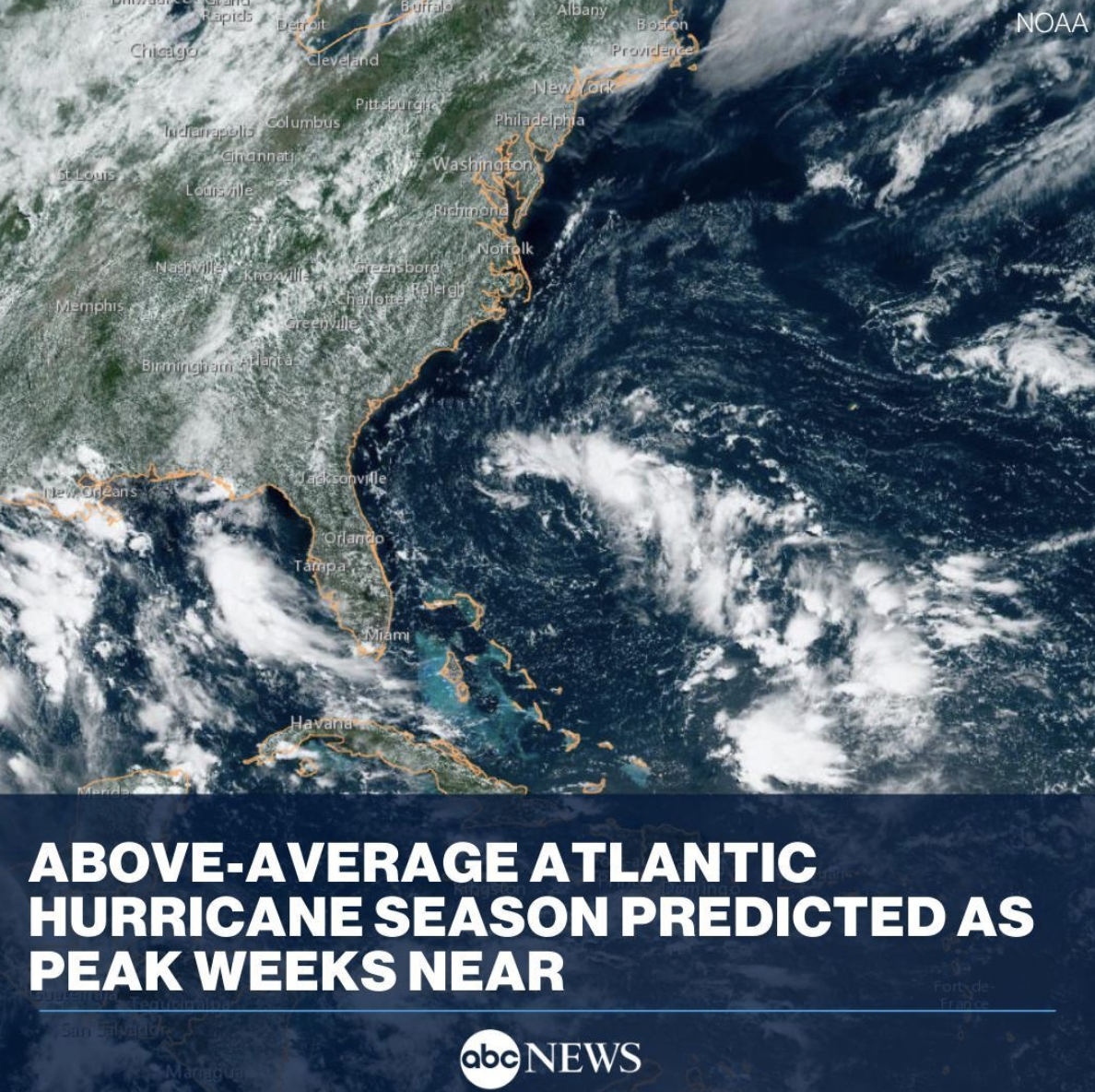 Screen Shot 2021-08-04 at 1.11.03 PM.png