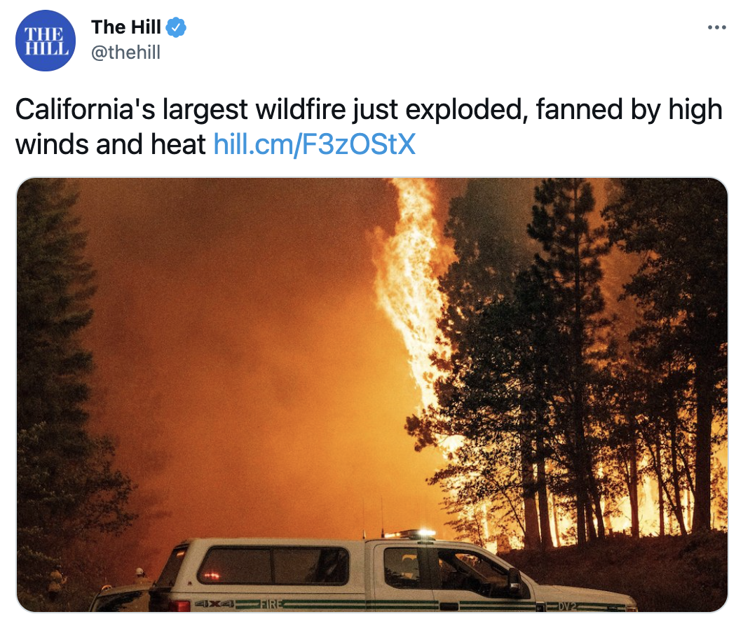 Screen Shot 2021-08-04 at 11.19.01 PM.png