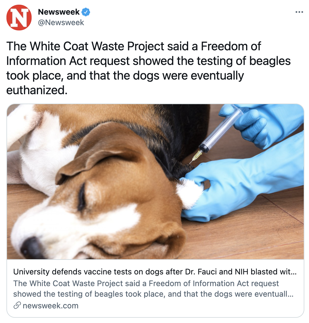 Screen Shot 2021-08-06 at 4.37.09 PM.png