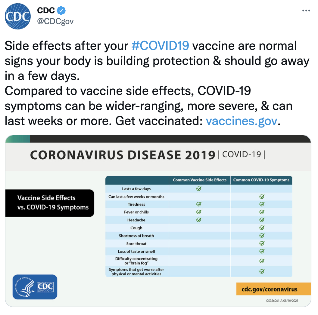 Screen Shot 2021-08-16 at 12.07.29 PM.png