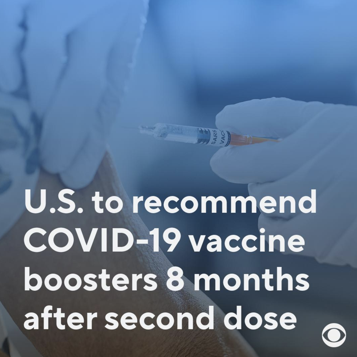 Screen Shot 2021-08-17 at 10.31.19 AM.png