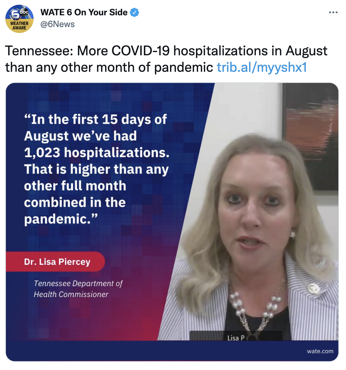 Screen Shot 2021-08-17 at 11.06.32 AM.png