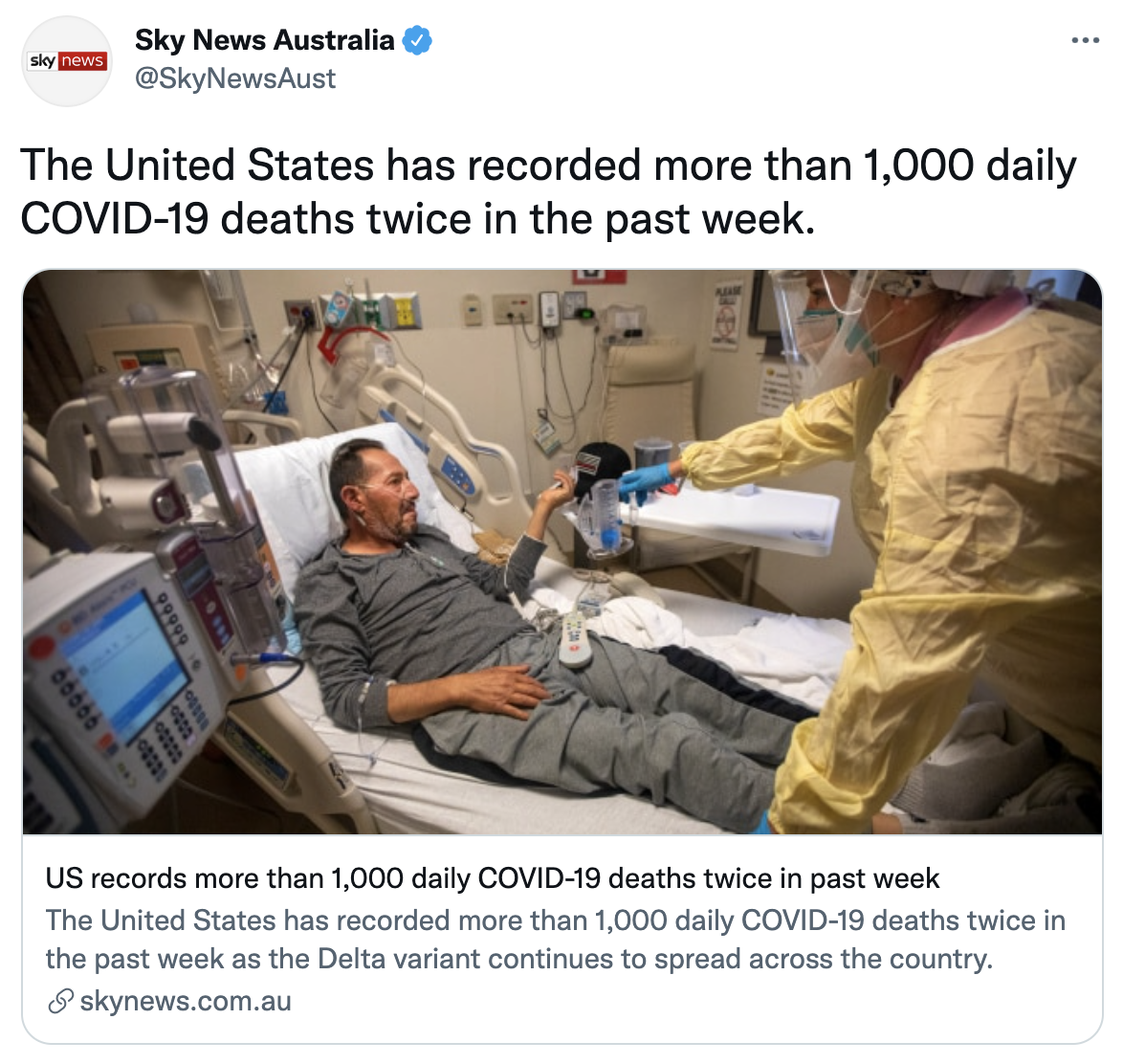 Screen Shot 2021-08-18 at 2.51.07 PM.png