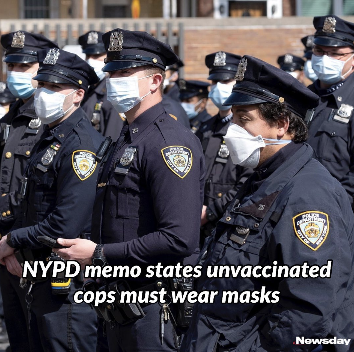 Screen Shot 2021-08-19 at 10.59.03 AM.png