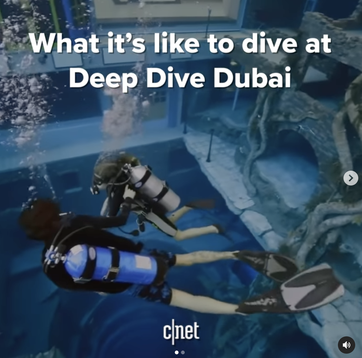 Screen Shot 2021-08-19 at 11.02.47 AM.png