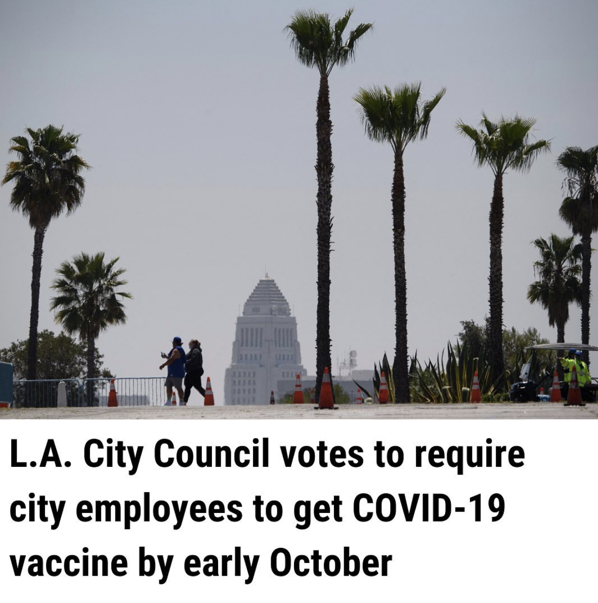 Screen Shot 2021-08-19 at 11.34.14 AM.png