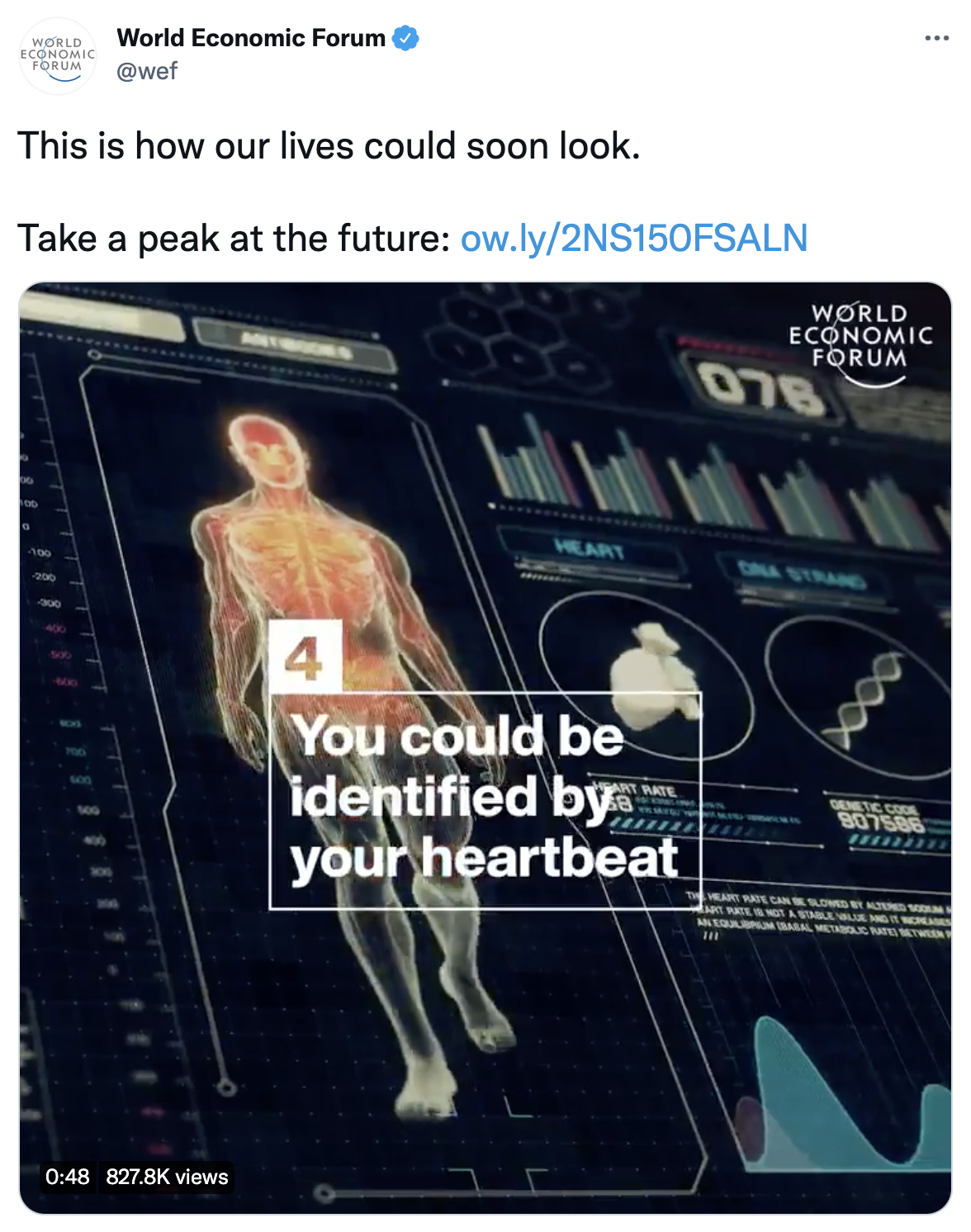 Screen Shot 2021-08-19 at 12.07.04 PM.png