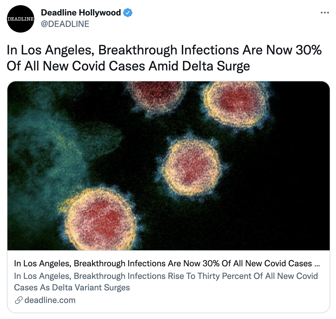 Screen Shot 2021-08-20 at 2.02.19 PM.png