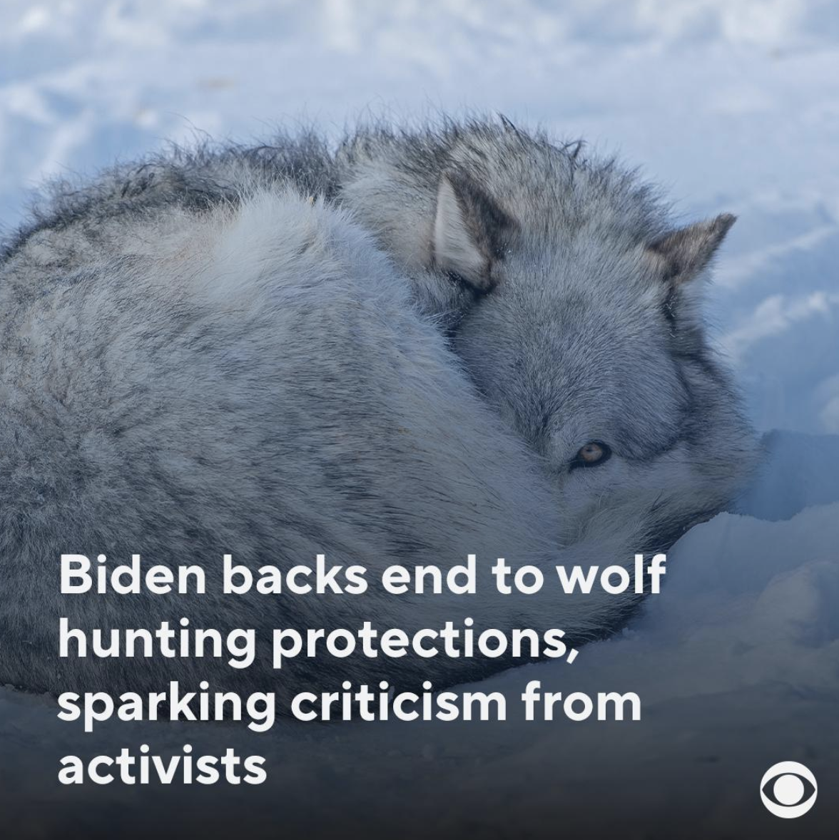 Screen Shot 2021-08-21 at 4.18.49 PM.png