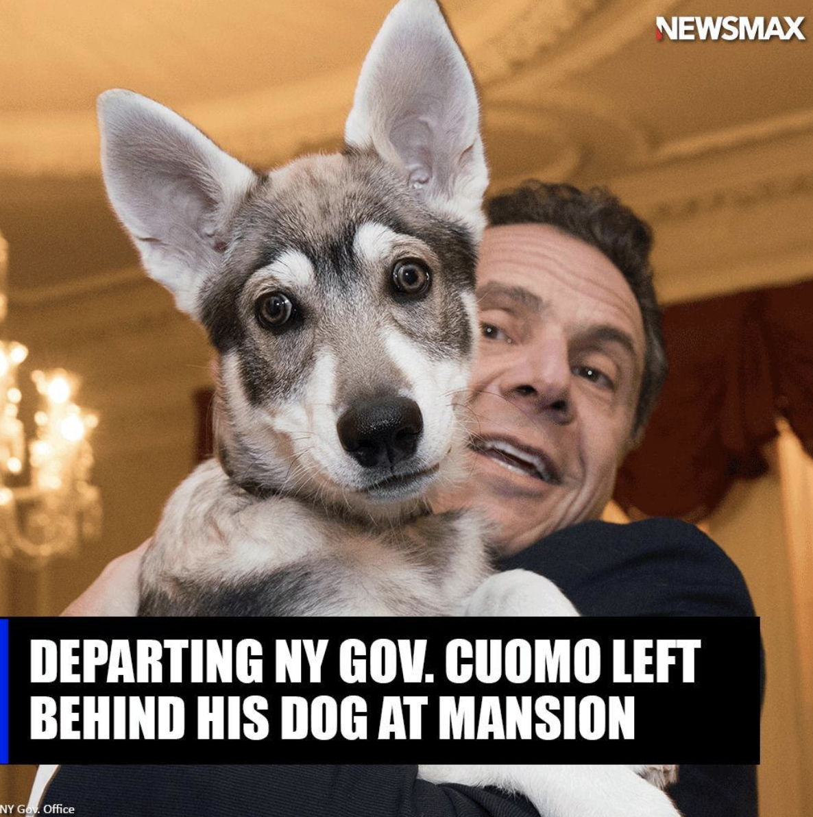 Screen Shot 2021-08-23 at 12.45.50 PM.png