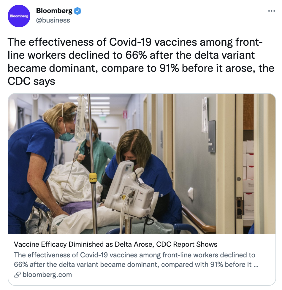 Screen Shot 2021-08-25 at 12.24.57 PM.png