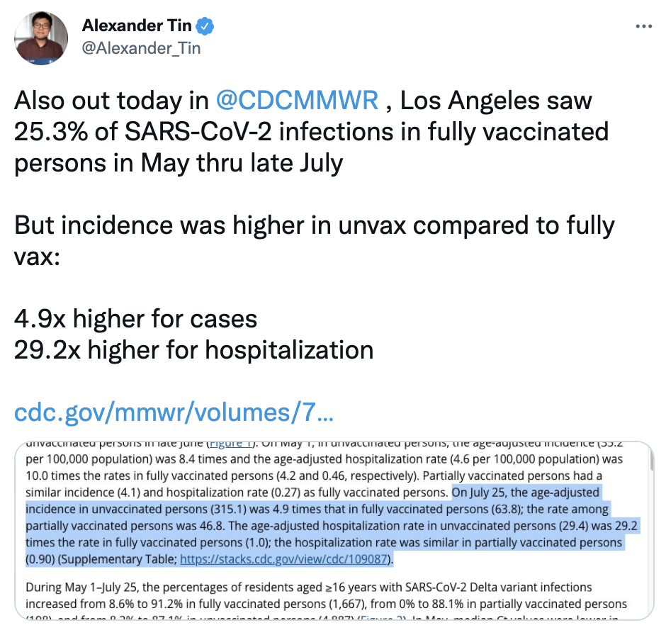 Screen Shot 2021-08-25 at 7.41.07 PM.png