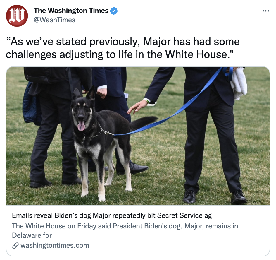 Screen Shot 2021-08-27 at 11.07.23 PM.png