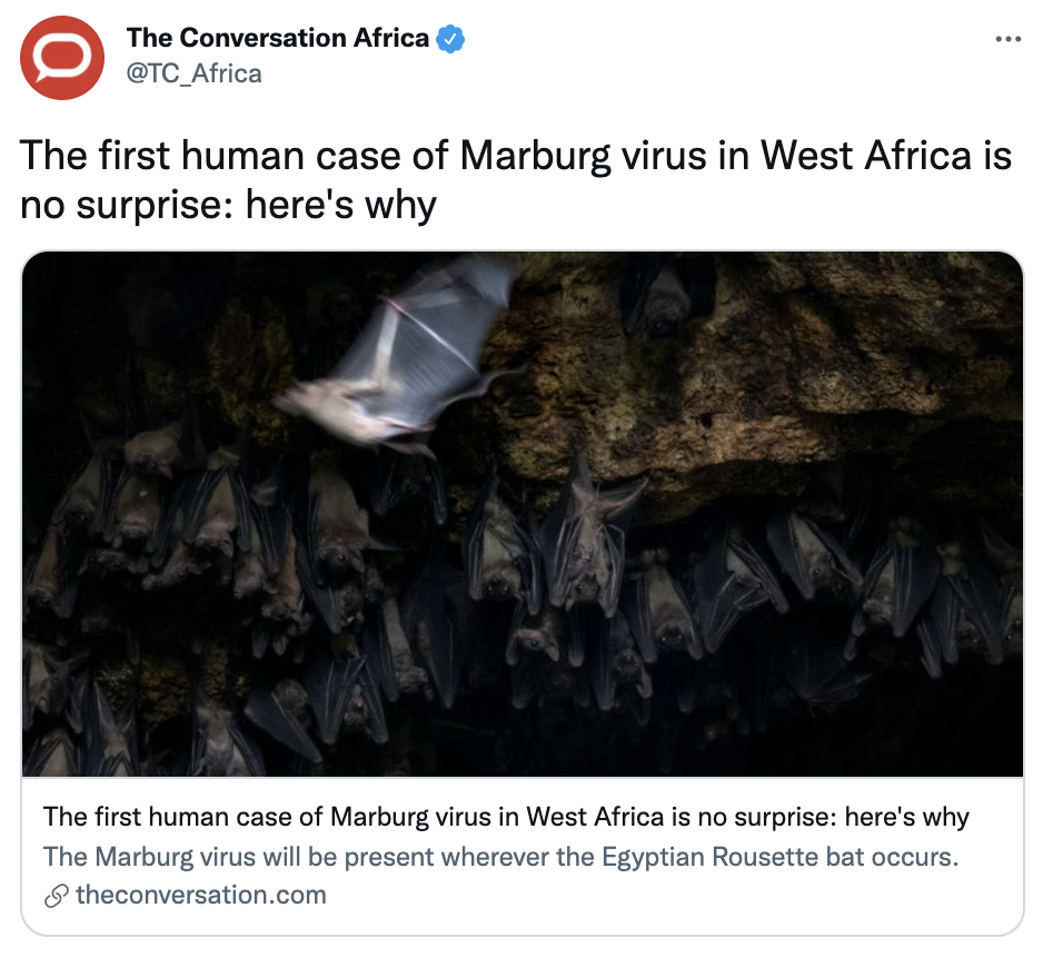 Screen Shot 2021-08-30 at 10.53.22 PM.png