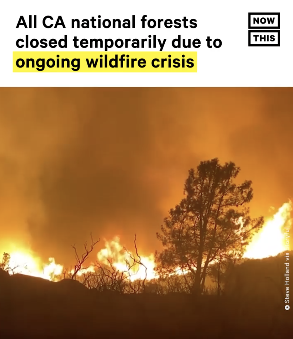 Screen Shot 2021-08-31 at 3.44.59 PM.png