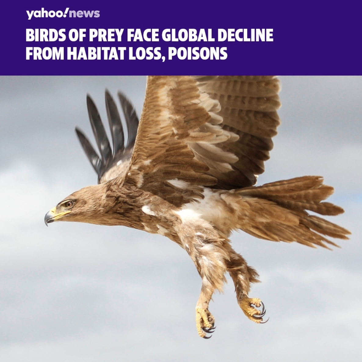 Screen Shot 2021-08-31 at 4.01.26 PM.png