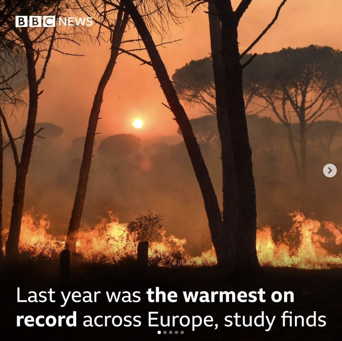 Screen Shot 2021-09-04 at 8.47.20 PM.png