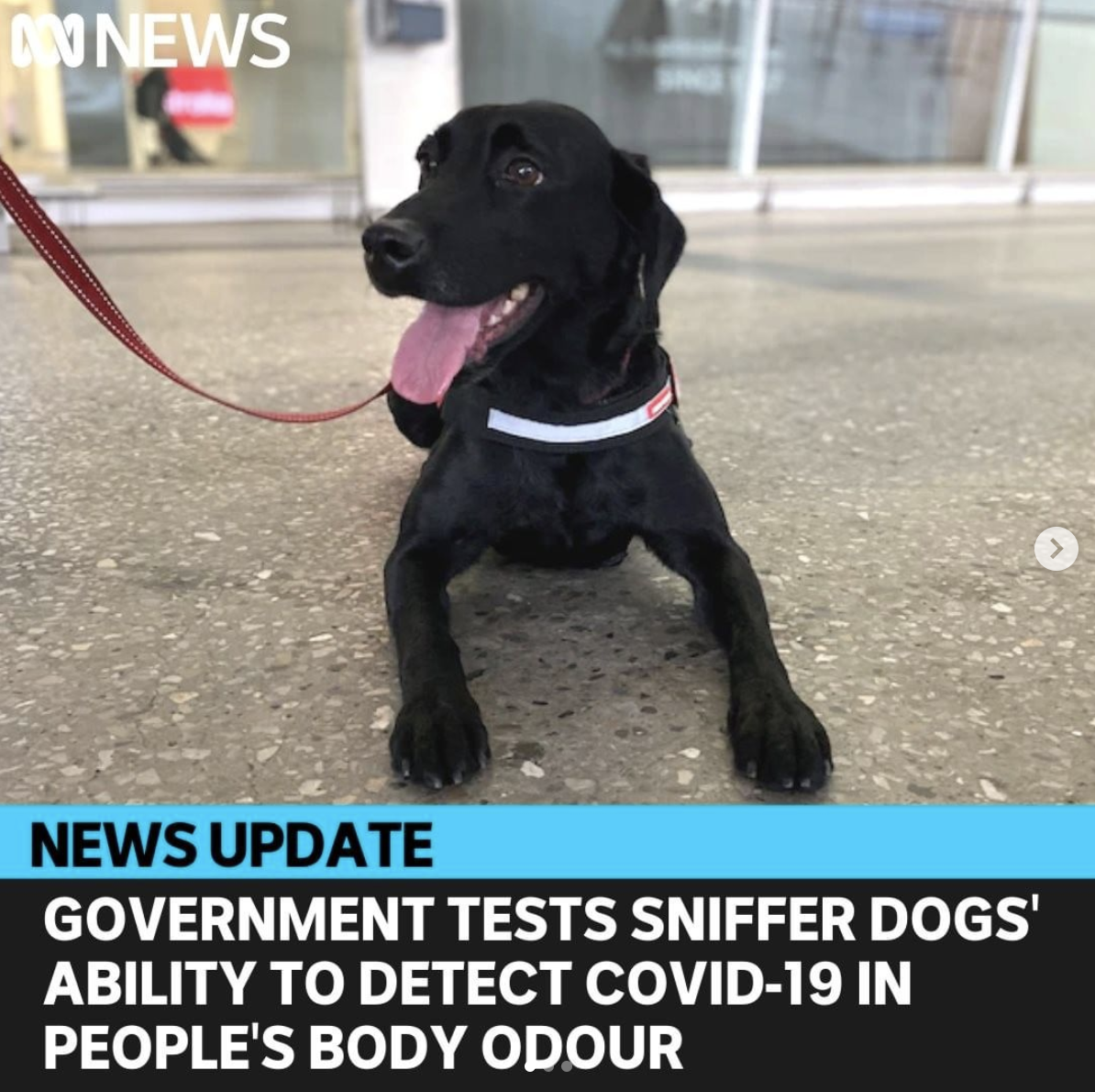 Screen Shot 2021-09-07 at 4.26.40 PM.png