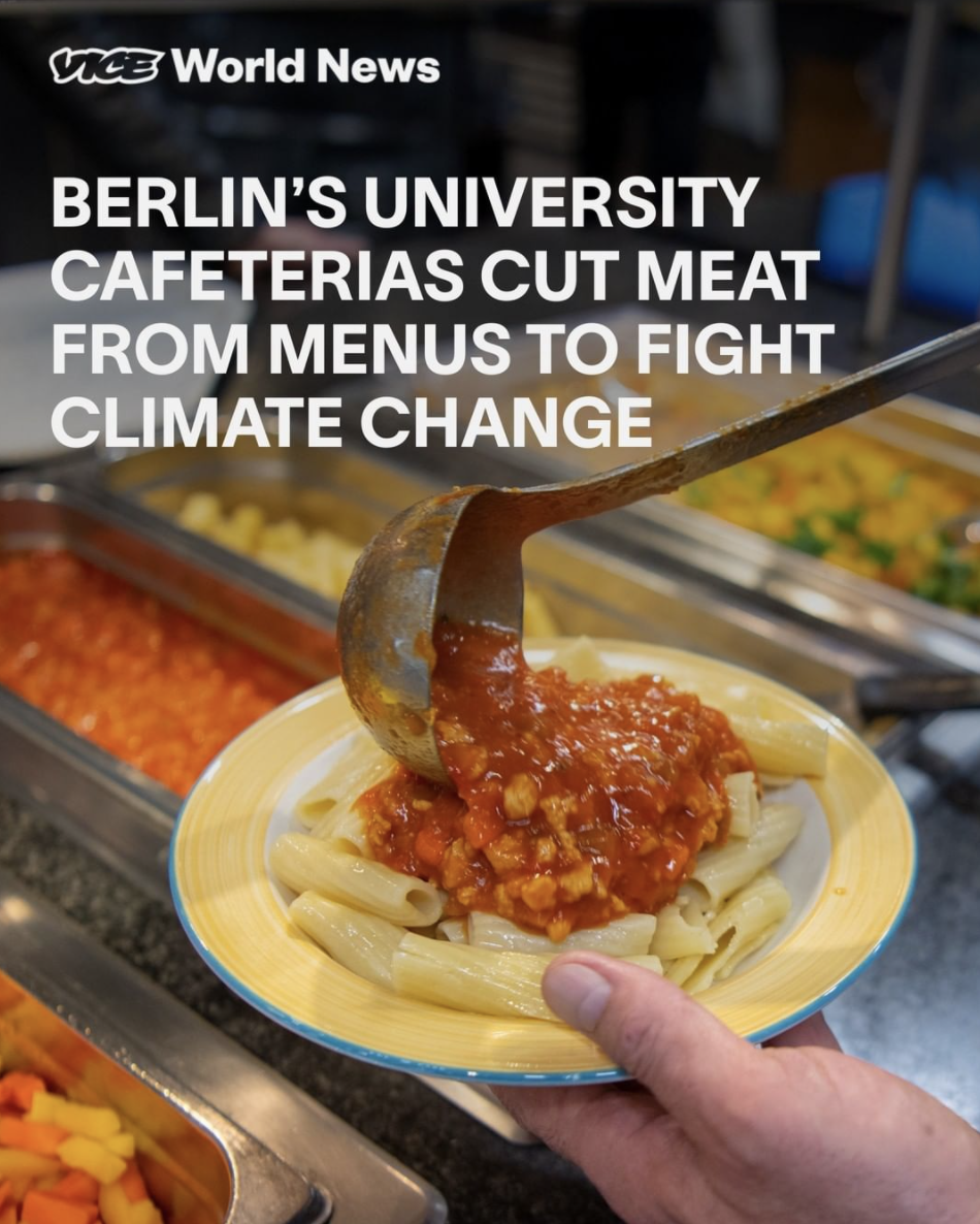 Screen Shot 2021-09-08 at 9.44.34 PM.png