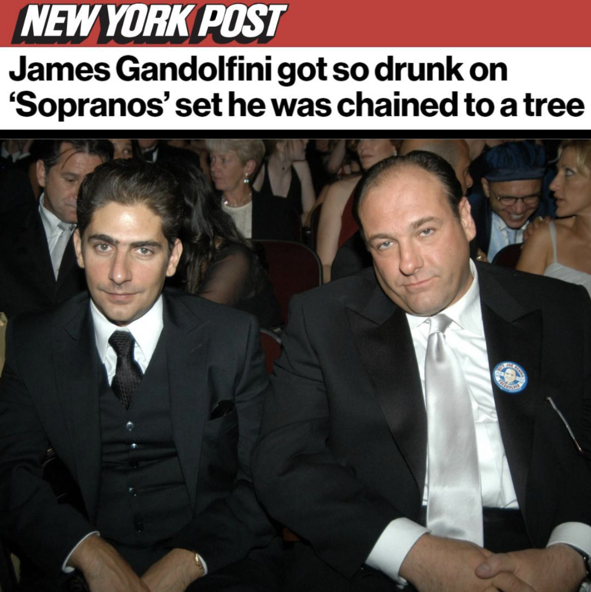 Screen Shot 2021-09-13 at 3.59.29 PM.png