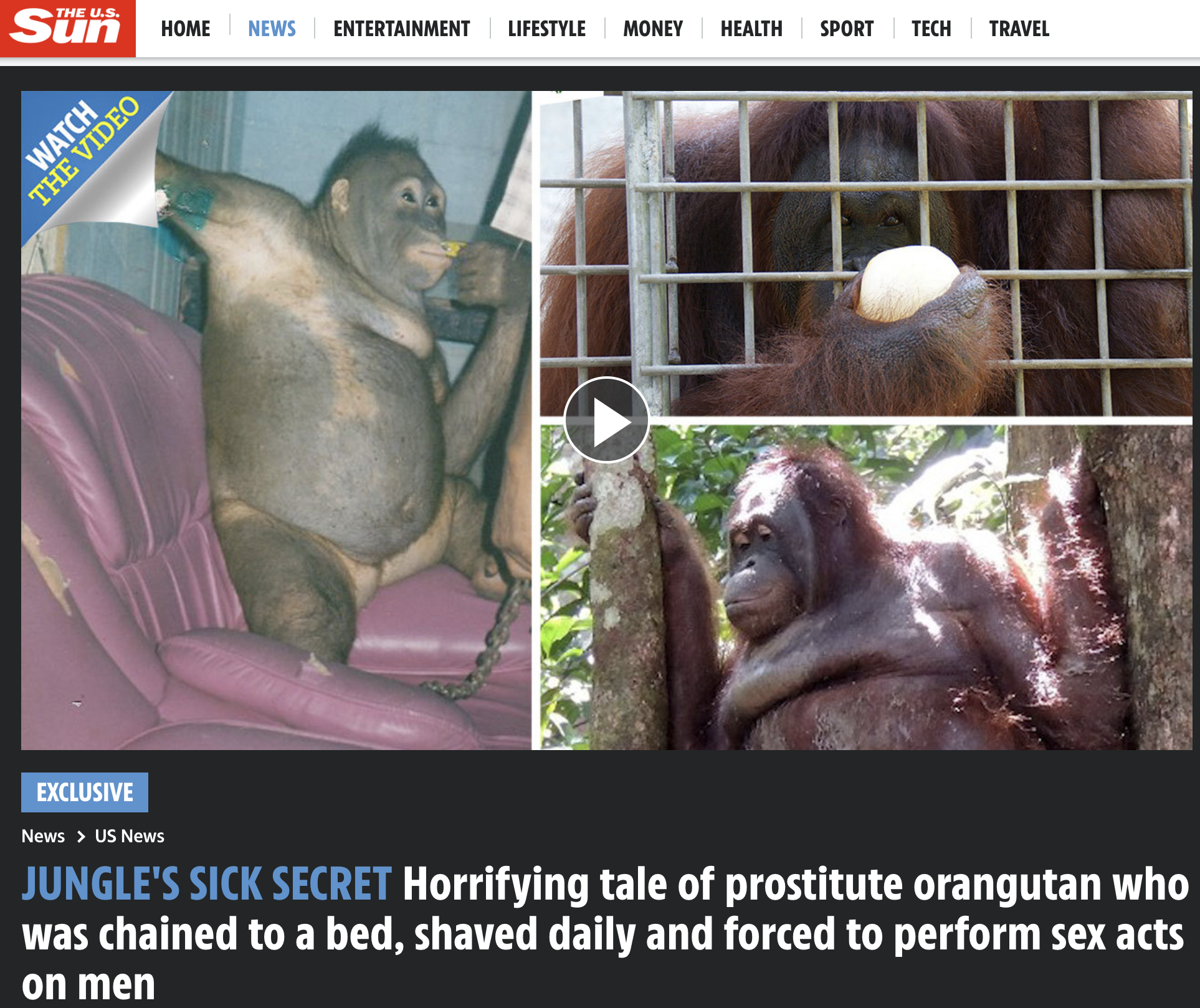 Screen Shot 2021-09-14 at 6.05.57 PM.png