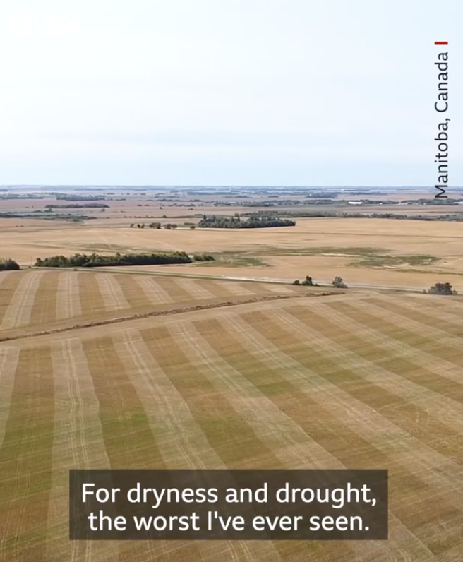 Screen Shot 2021-09-16 at 3.46.46 PM.png