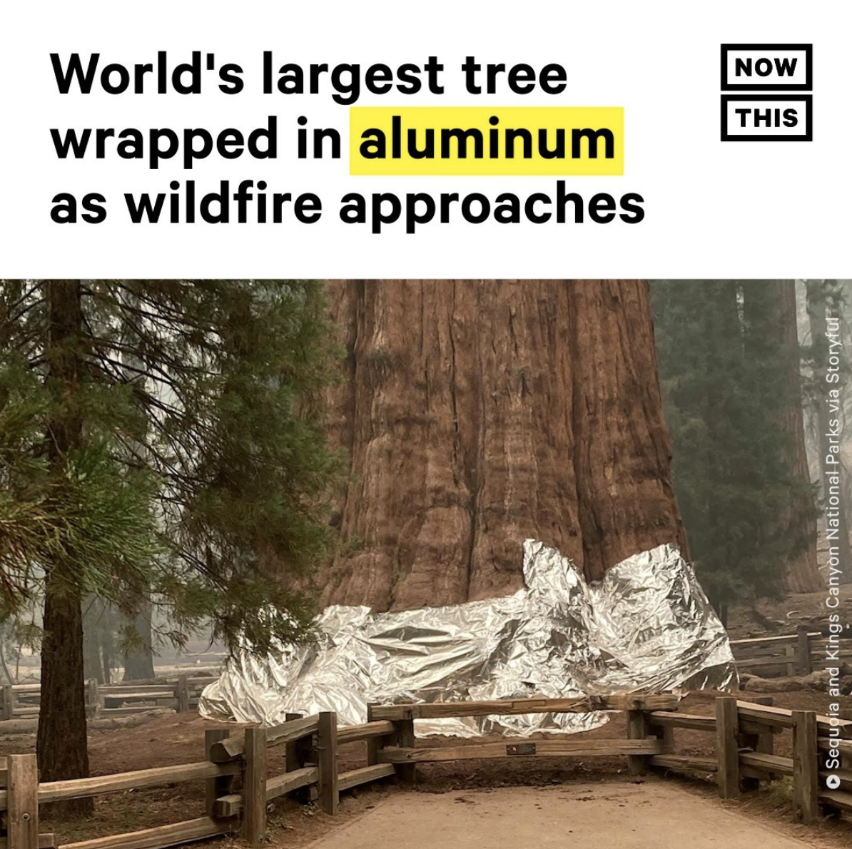 Screen Shot 2021-09-17 at 5.06.24 PM.png