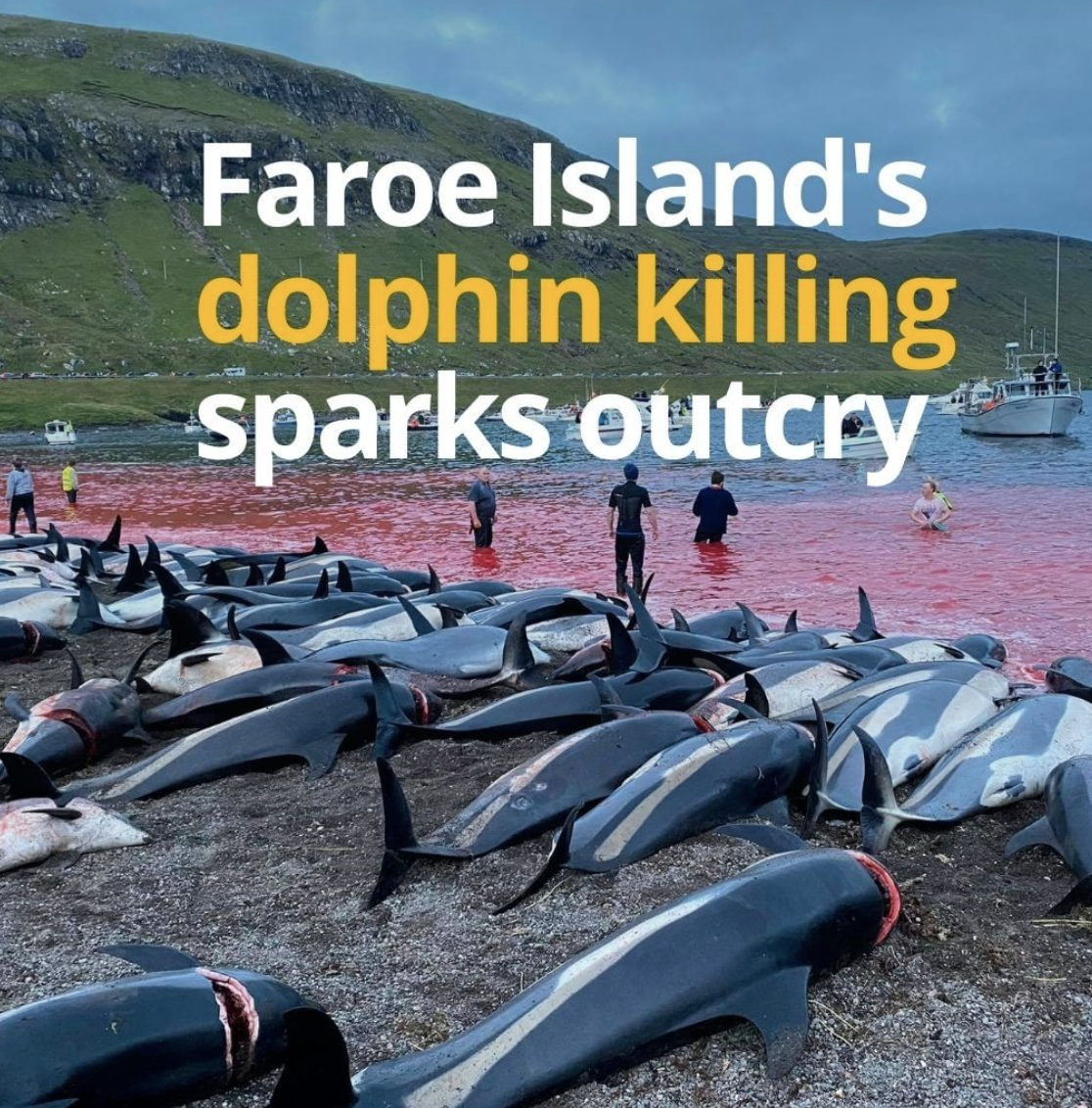 Screen Shot 2021-09-17 at 5.47.27 PM.png