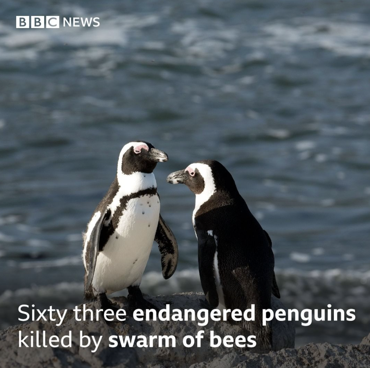 Screen Shot 2021-09-21 at 9.28.42 PM.png