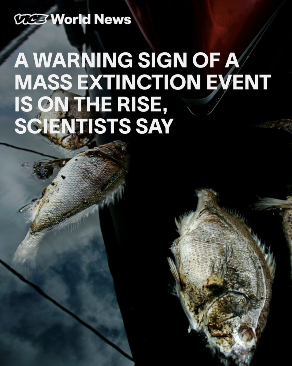 Screen Shot 2021-09-21 at 9.36.12 PM.png