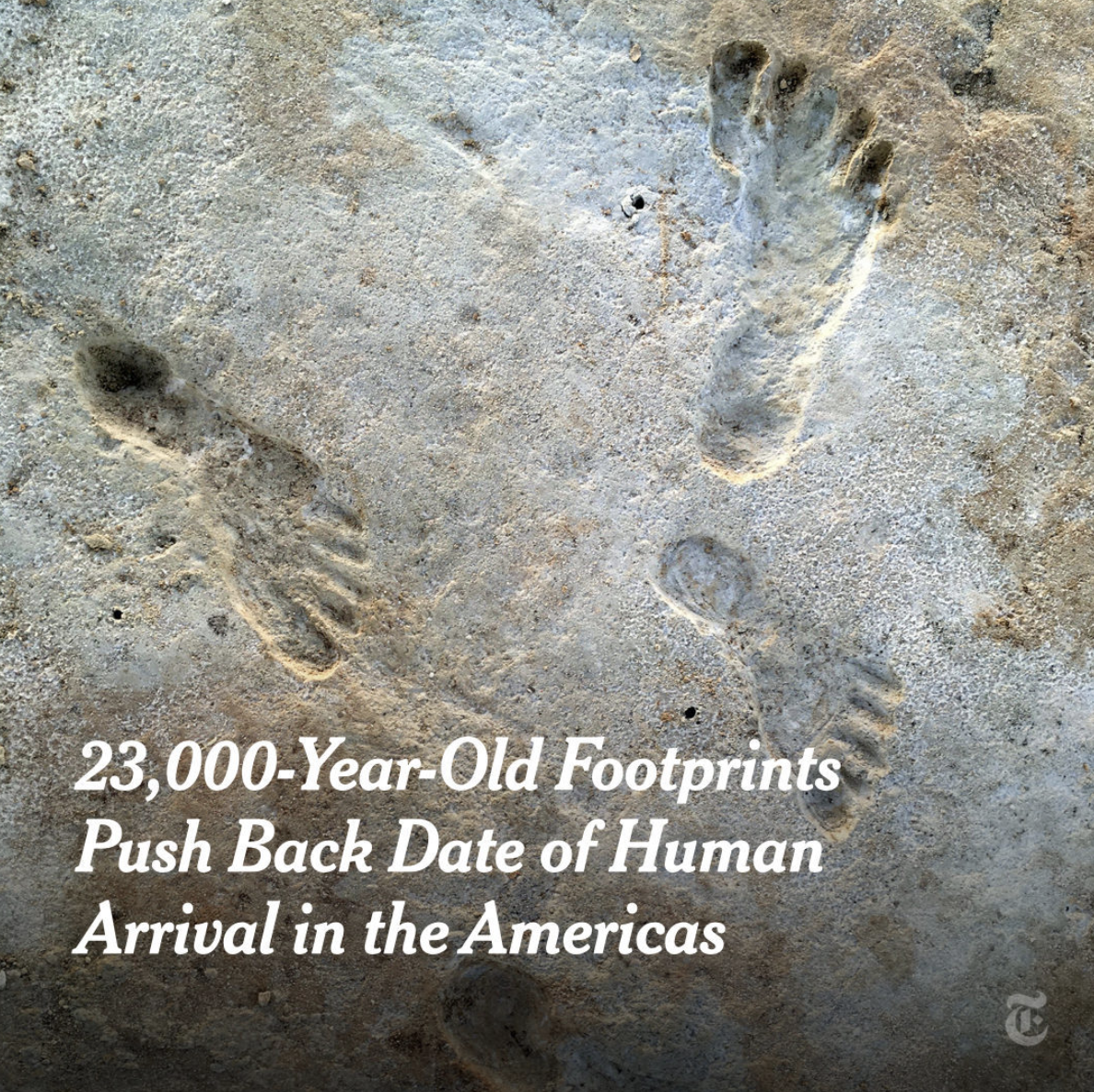 Screen Shot 2021-09-23 at 10.07.40 PM.png