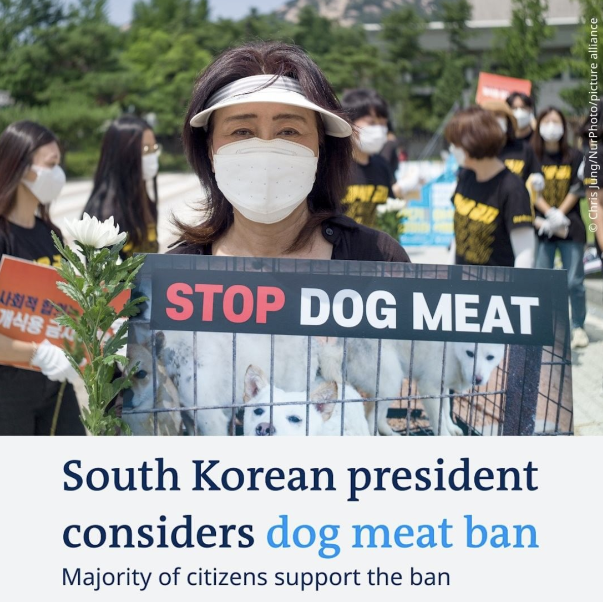 Screen Shot 2021-09-28 at 9.31.38 PM.png