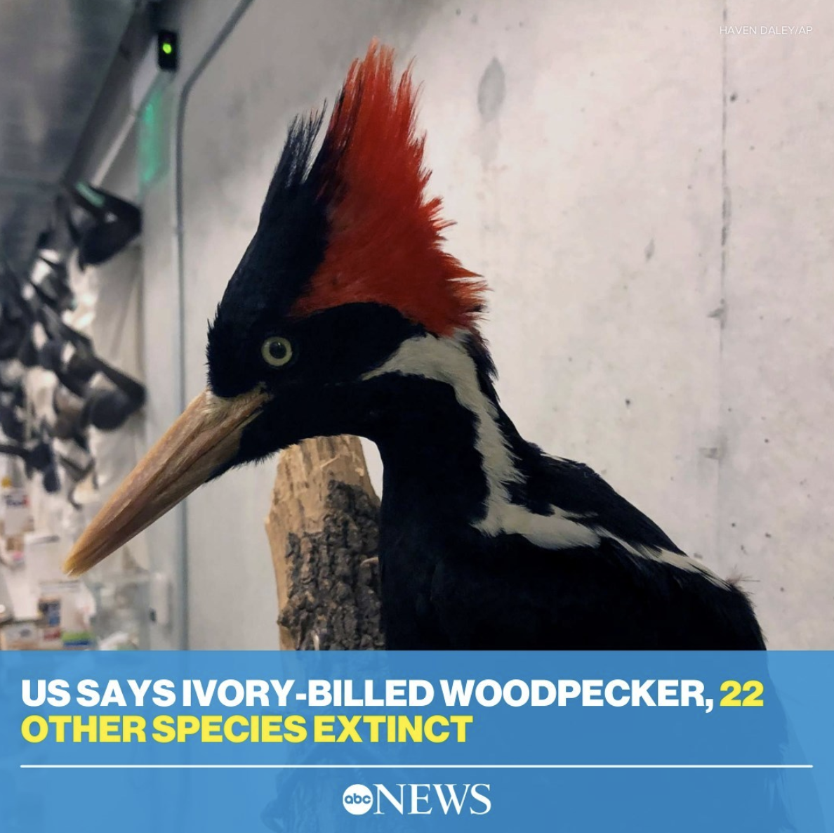 Screen Shot 2021-09-29 at 8.28.33 PM.png