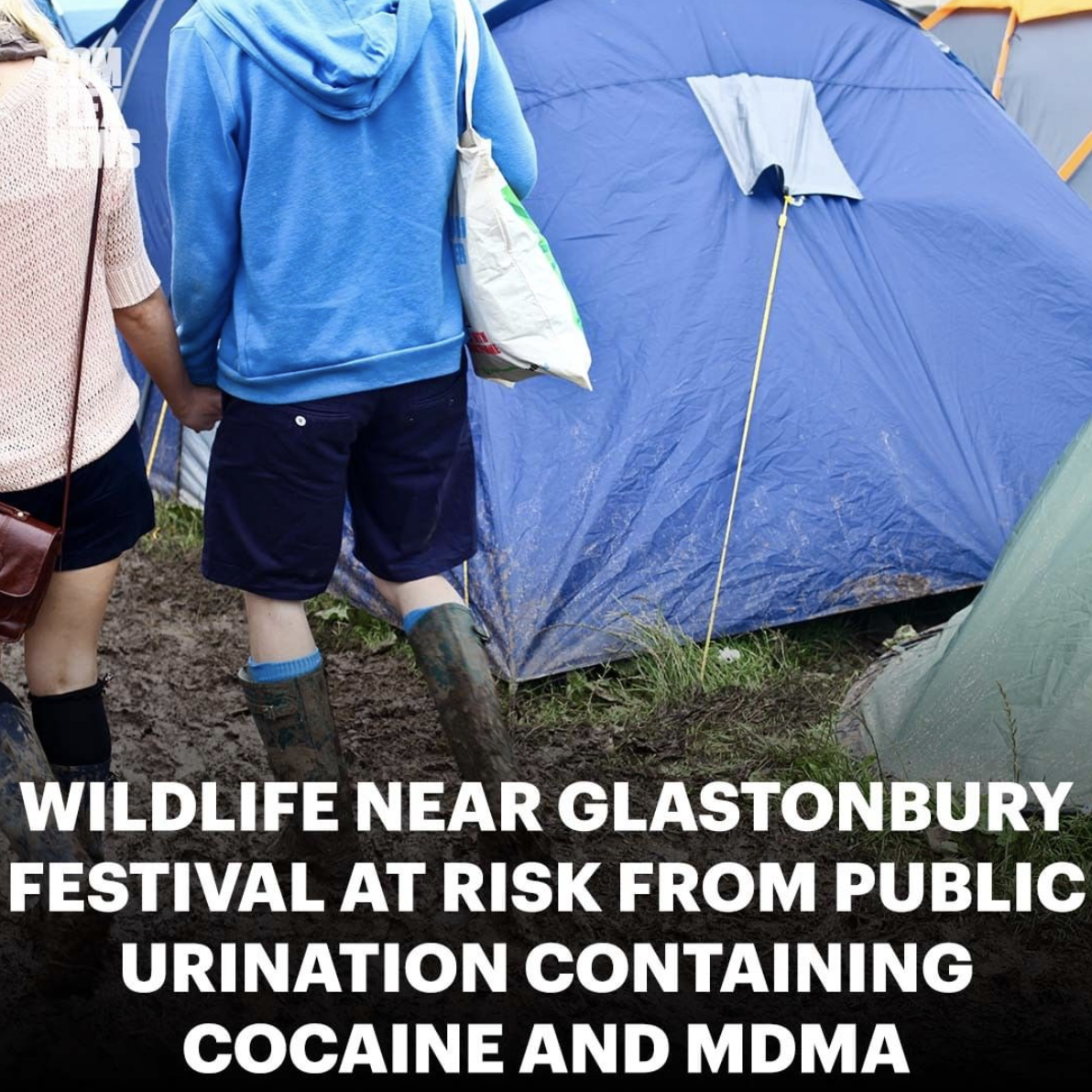 Screen Shot 2021-09-29 at 8.36.45 PM.png