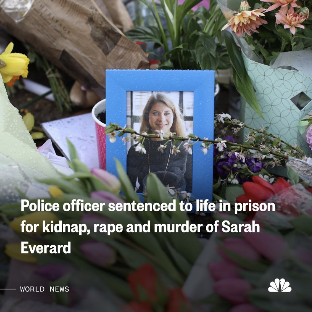 Screen Shot 2021-09-30 at 9.26.25 PM.png